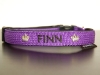 hundehalsband-violett