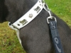 Appenzeller-Lederhlsband-weiss