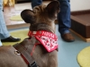 Nevia mit Appenzeller Halstuch