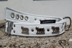 Appenzeller Hundehalsband weiss