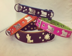 Appennzellerlederhalsband farbig