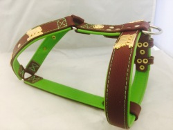 Appenzeller Ledergeschirr 01