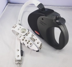 Appenzeller Lederhalsband mit Flexileine