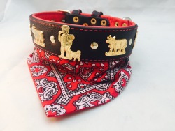 Appenzeller Lederhalsband mit Tuch