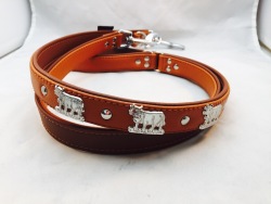 Appenzeller Leine 01