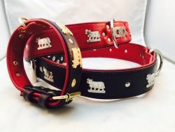 Appenzellerhalsband 01
