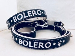 Lederhalsband mit Lederleine