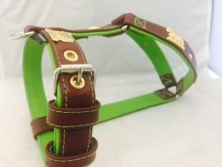 appenzeller-ledergeschirr-02