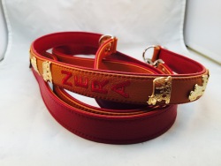 appenzeller-leine-02