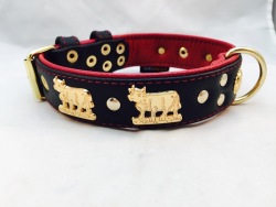 appenzellerhalsband-vergoldet