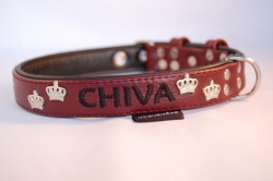 Lederhundehalsband mit Name