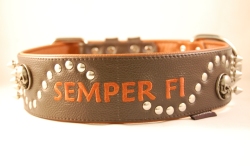 Hundehalsband 5 cm breit