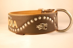 Hundehalsband 5 cm breit