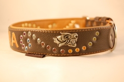 Lederhundehalsband mit Nieten
