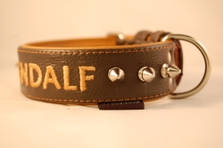 Hundehalsband mit Killernieten