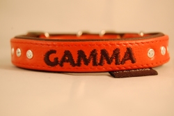 Hundehalsband 1.5 cm breit