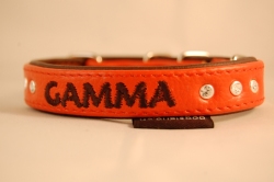 Leder Hundeleine 1.5 cm breit