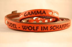 Lederset: Hundehalsband und Hundeleine 1.5 cm
