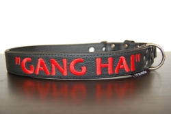 Lederhalsband