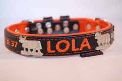 Appenzeller Lederhalsband bestickt