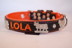 Appenzeller Lederhalsband mit Name