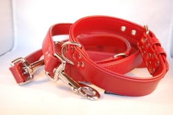 Lederhalsband und Lederleine