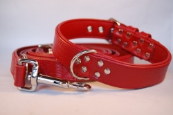 Lederhalsband und Lederleine