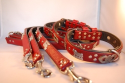 Appenzeller Schlaufenleine