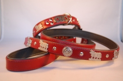 Appenzeller Halsband und Leine