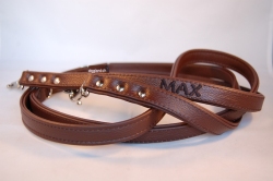 Lederset: Halsband und Leine