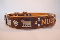 Appenzeller Halsband mit Name