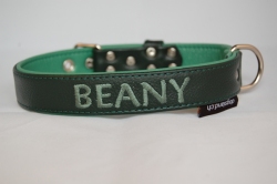 Namens Lederhundehalsband