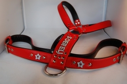 Leder Tourengeschirr mit Strass