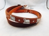 Appenzeller Leine 01