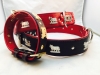 Appenzellerhalsband 01