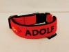 Hundehalsband mit Name