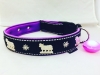 Neoprenhalsband lila kuh