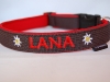 Hundehalsband Neopren mit Name