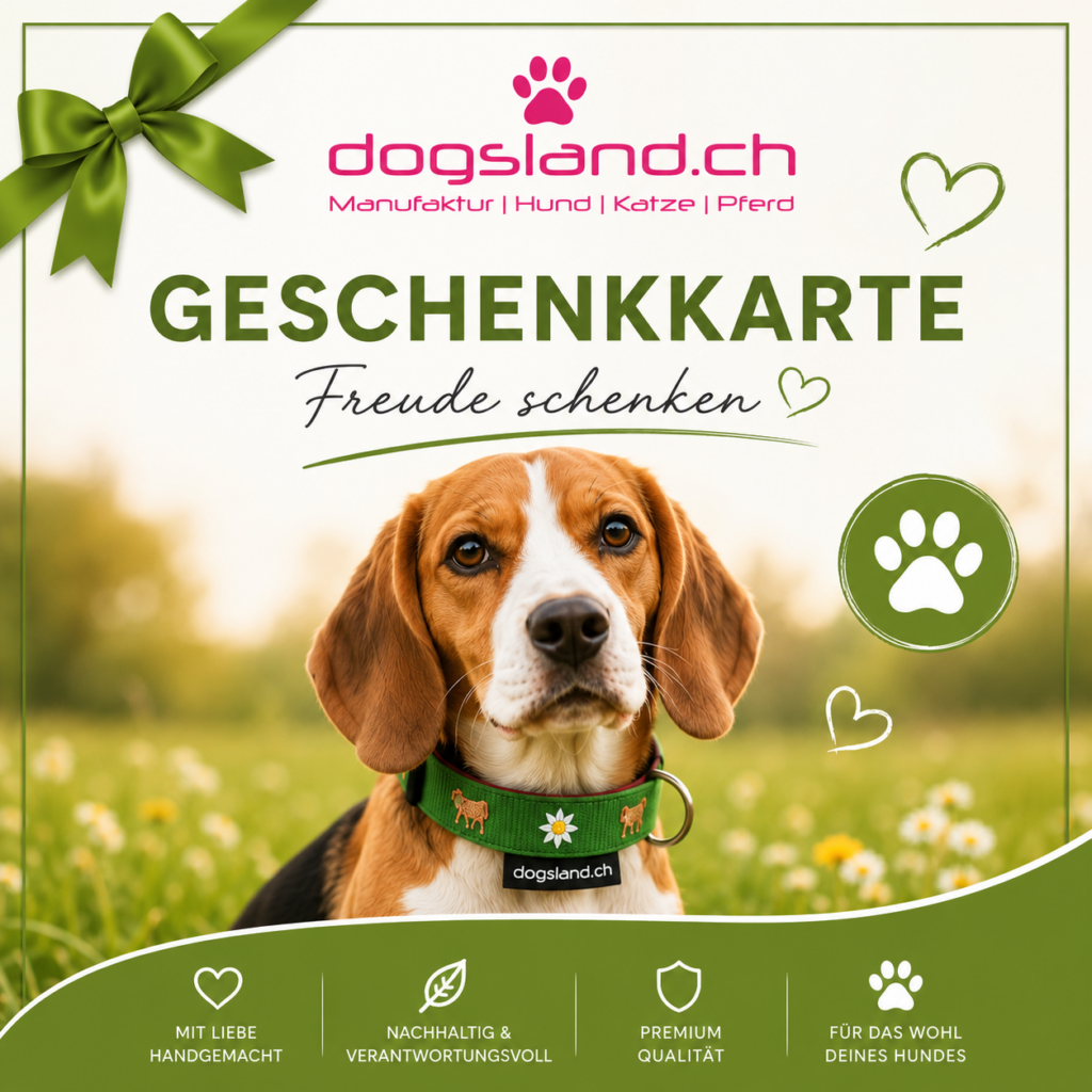 Geschenkgutschein für Hunde