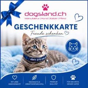 Geschenkgutschein für Katzen