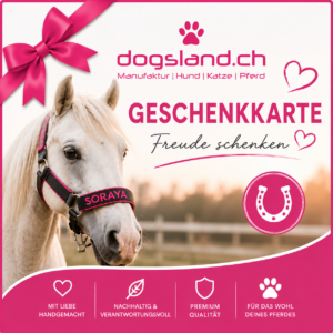 Geschenkgutschein für Pferde