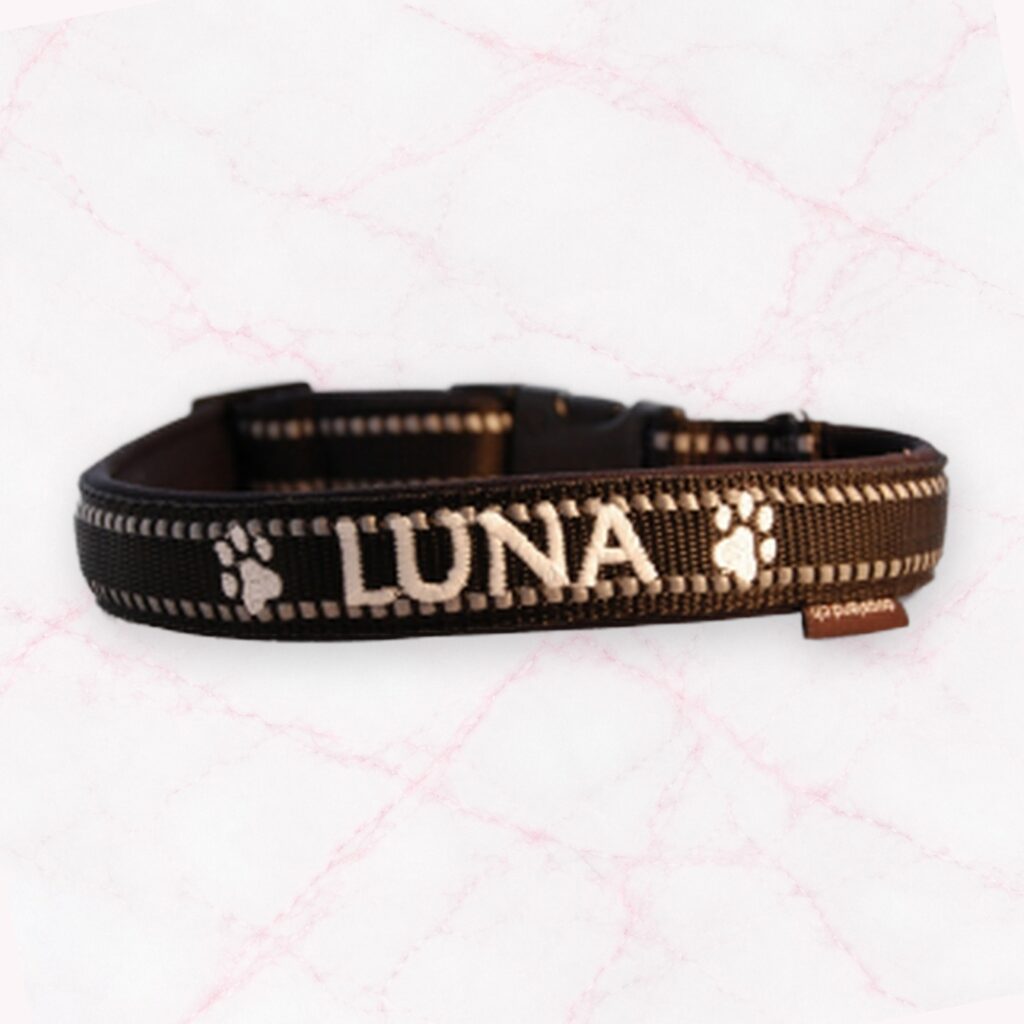 „REFLEX“ Hundehalsband mit Wunschbestickung