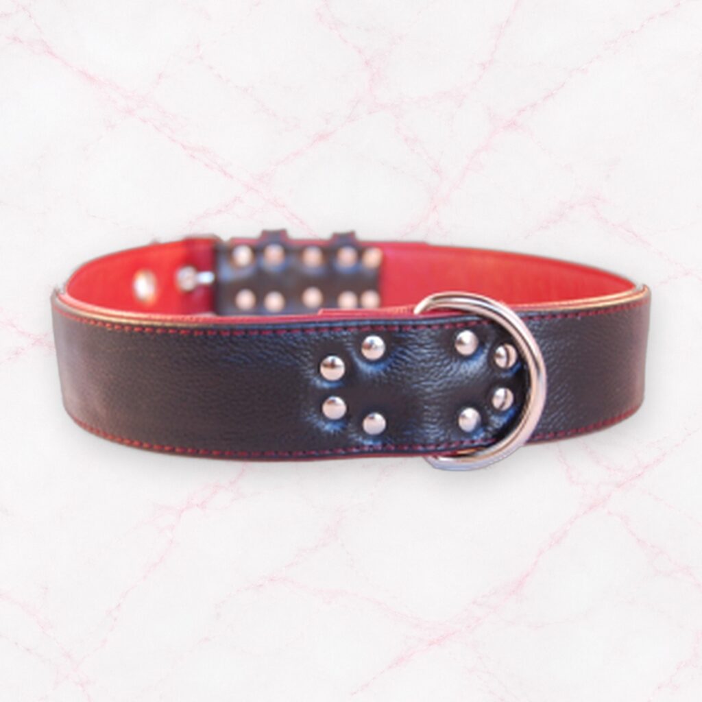 Halsband aus Leder