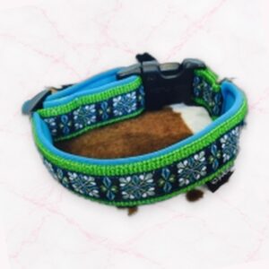 Hundehalsband Singapore apfel/türkis