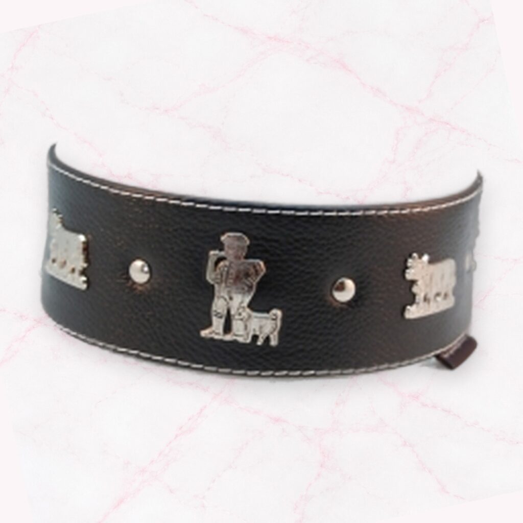 Appenzeller Lederhalsband für Windhunde