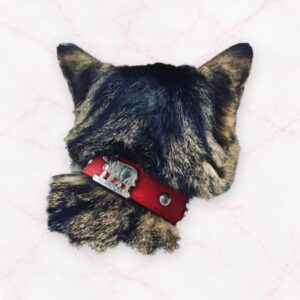 Appenzeller Katzenhalsband