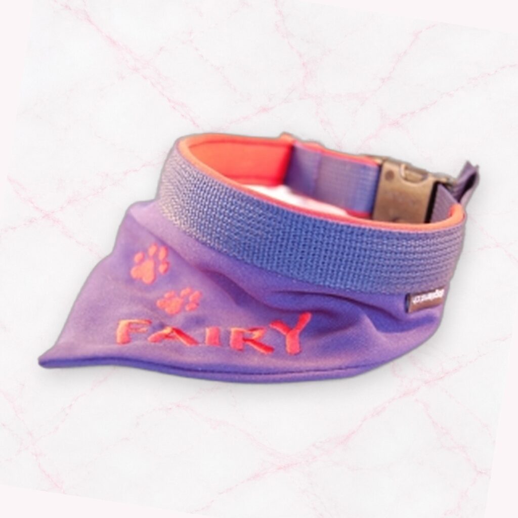 2 in 1: Halstuch und Zugstophalsband mit Bestickung