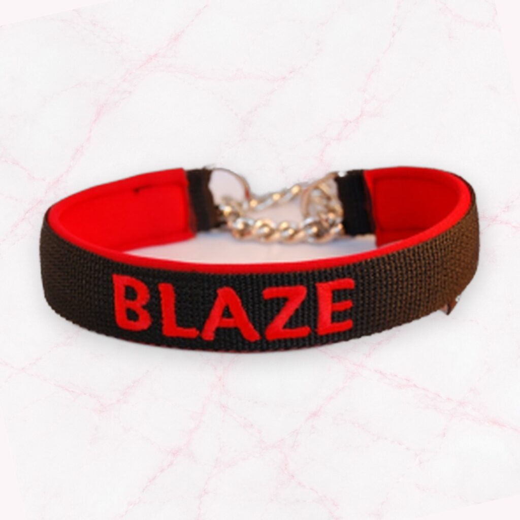 Zugstop Ketten Halsband bestickt