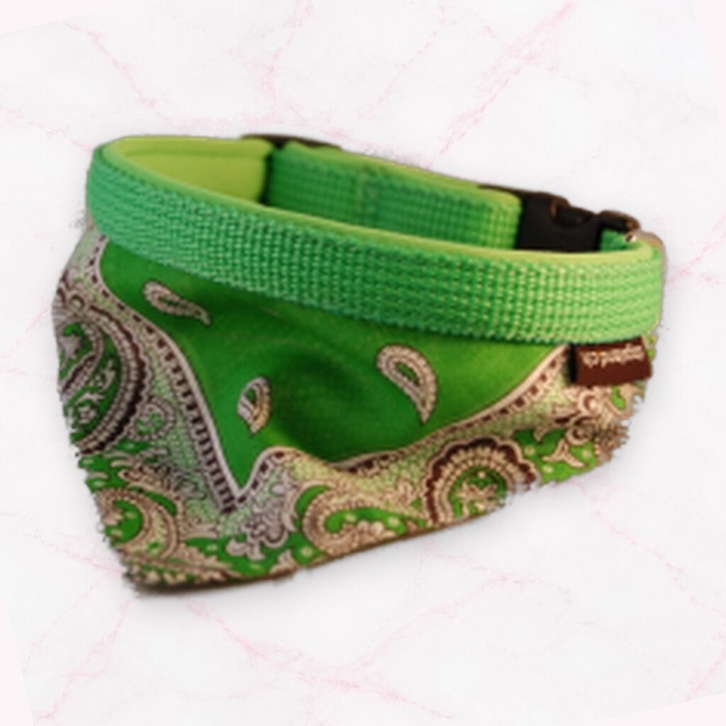 2 in 1: Glarner Halsband mit Halstuch