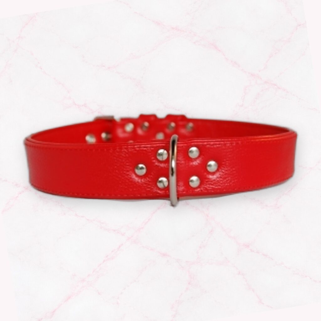 Leder Halsband